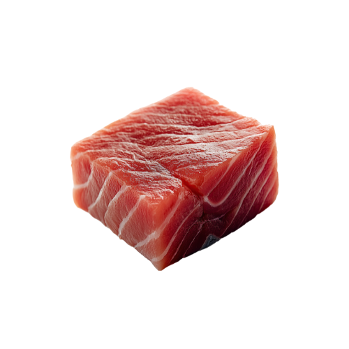 דג טונה טרי